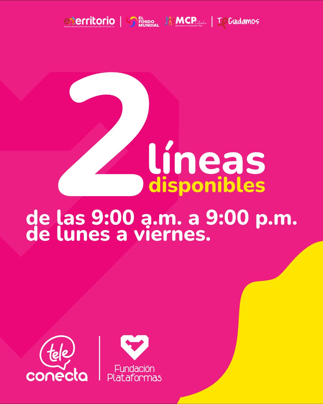 Teleconecta Risaralda imagen 4